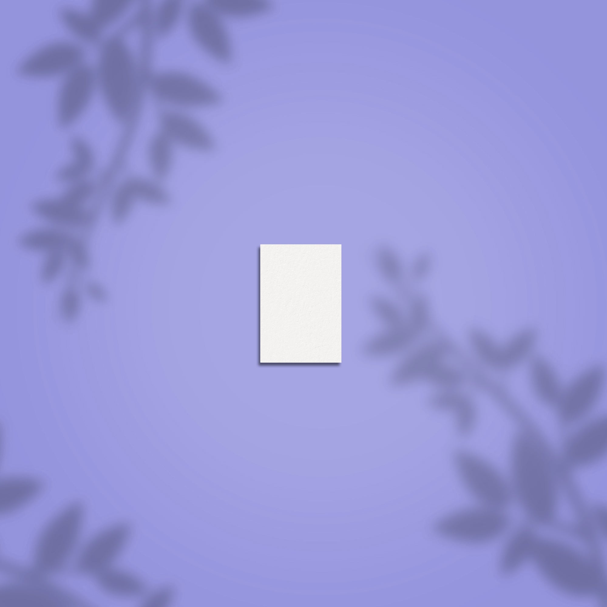 Set 50 Mini Buffere Dreptunghiulare STALEKS EXPERT 51 Mini, Granulatie 100/180, NFB-51M-100/180-50