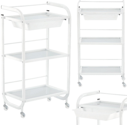 Ucenic metalic cu rafturi din sticla 3-PK-0030