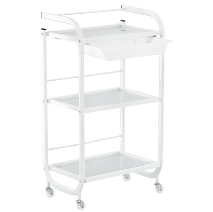 Ucenic metalic cu rafturi din sticla 3-PK-0030