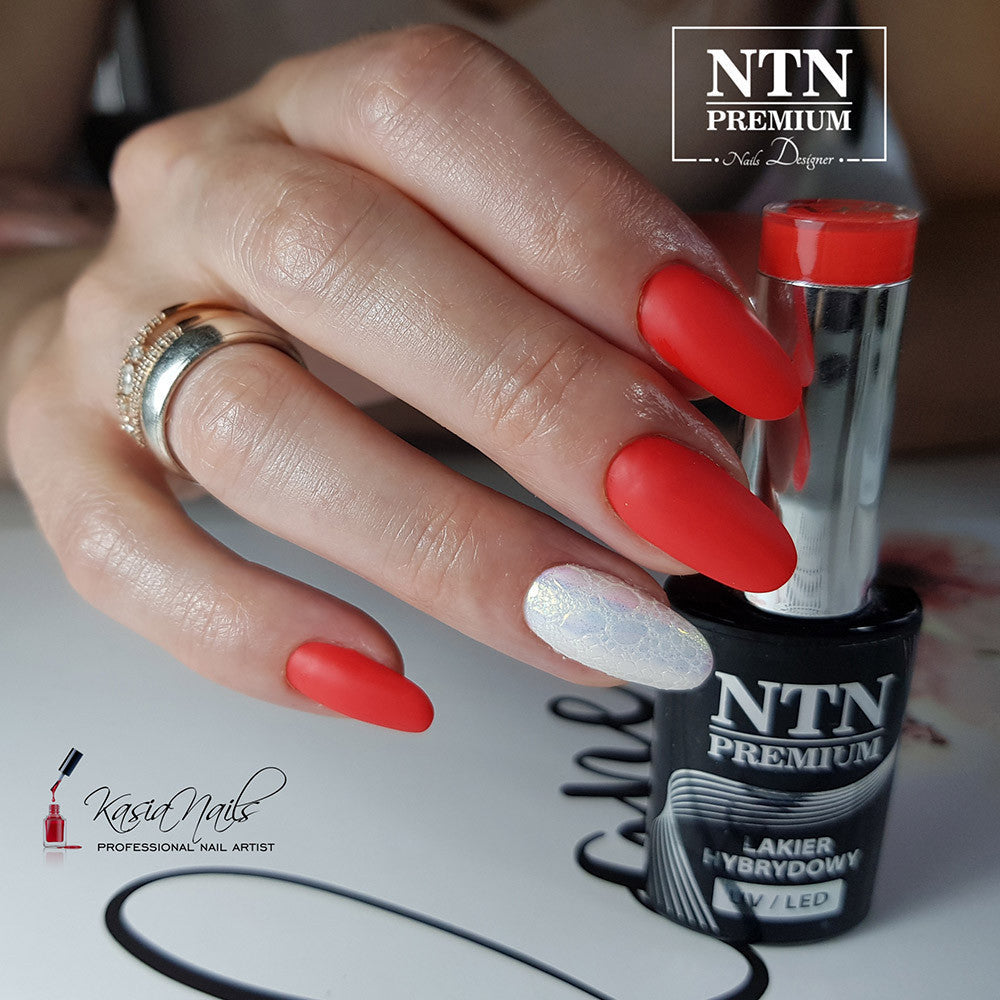 Oja semipermanenta NTN Premium - Splash Collection 5g, NR 126