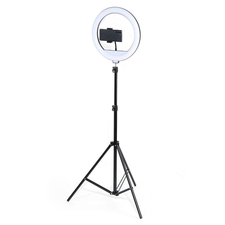 Ring Light LED RGB, Lampa circulara color 30cm, trepied 210cm